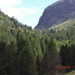 CIMG2730