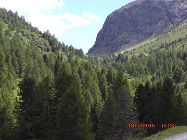 CIMG2730