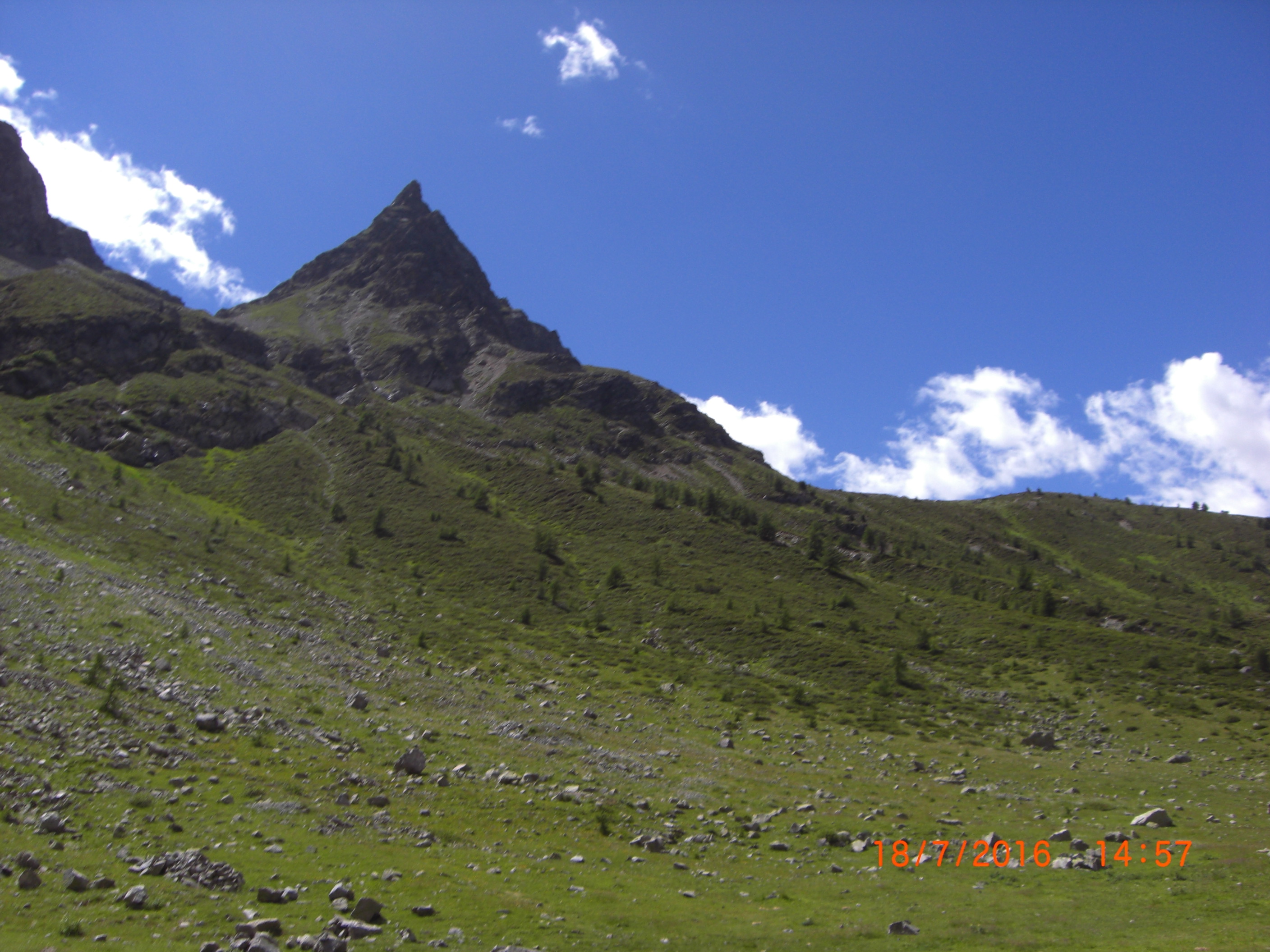 CIMG2733