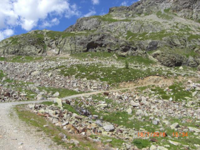 CIMG2740