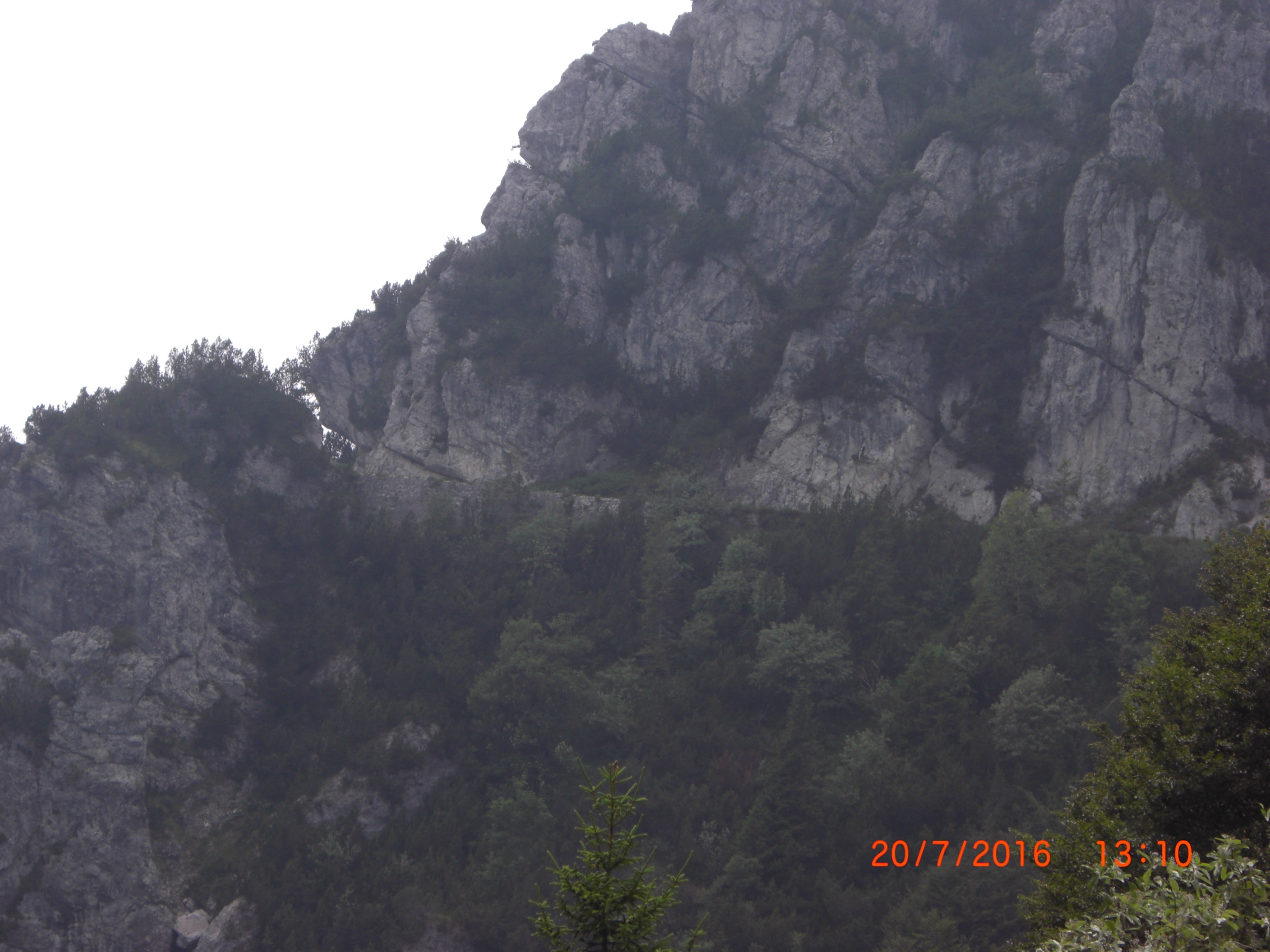 CIMG2823