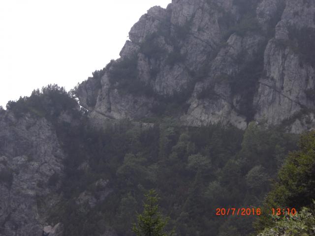 CIMG2823
