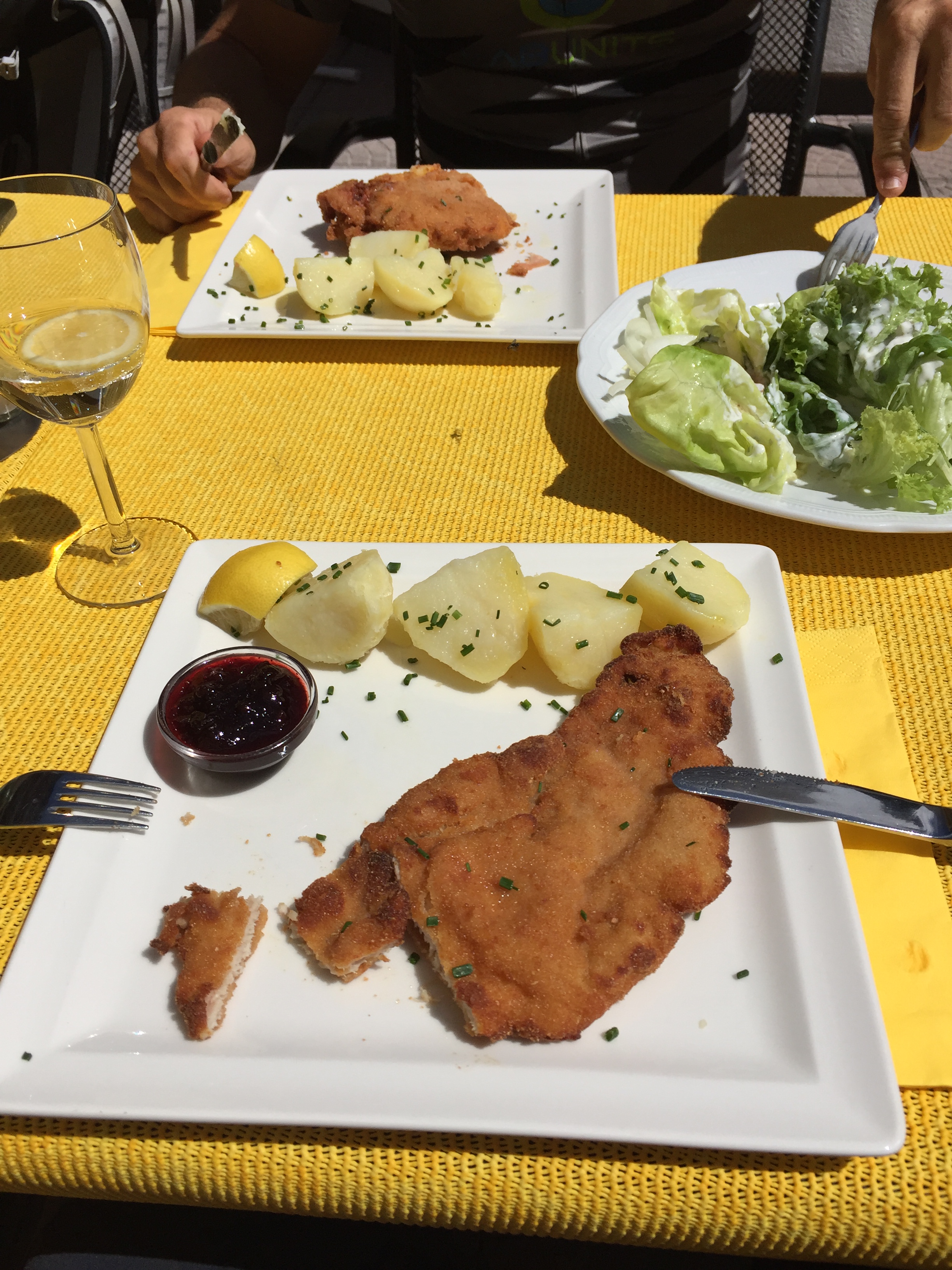 Transalp_20160716_010