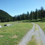 Transalp_20160718_005