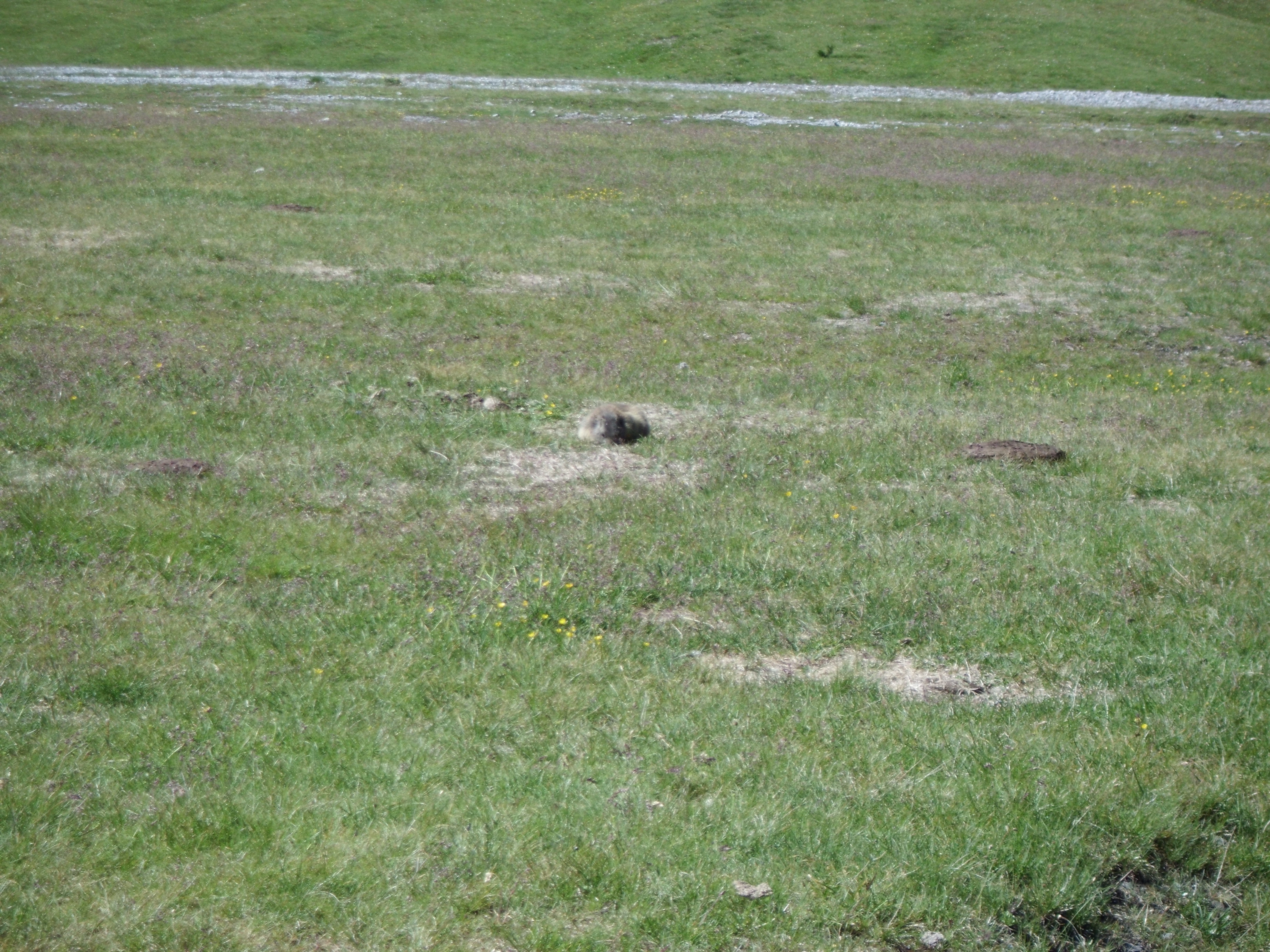 Transalp_20160718_016