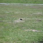 Transalp_20160718_016