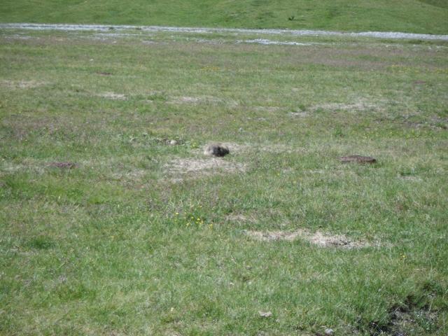 Transalp_20160718_016