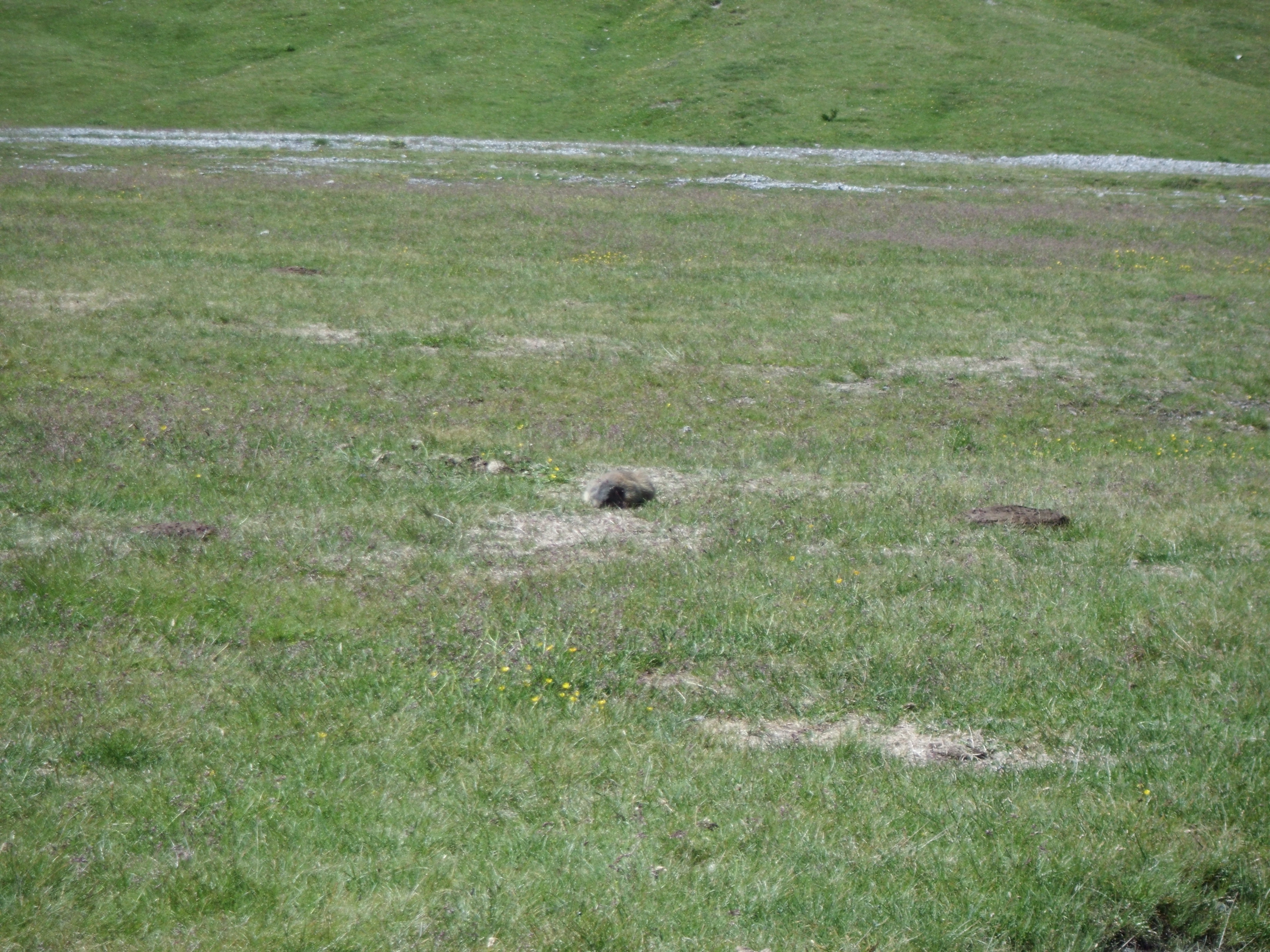 Transalp_20160718_017