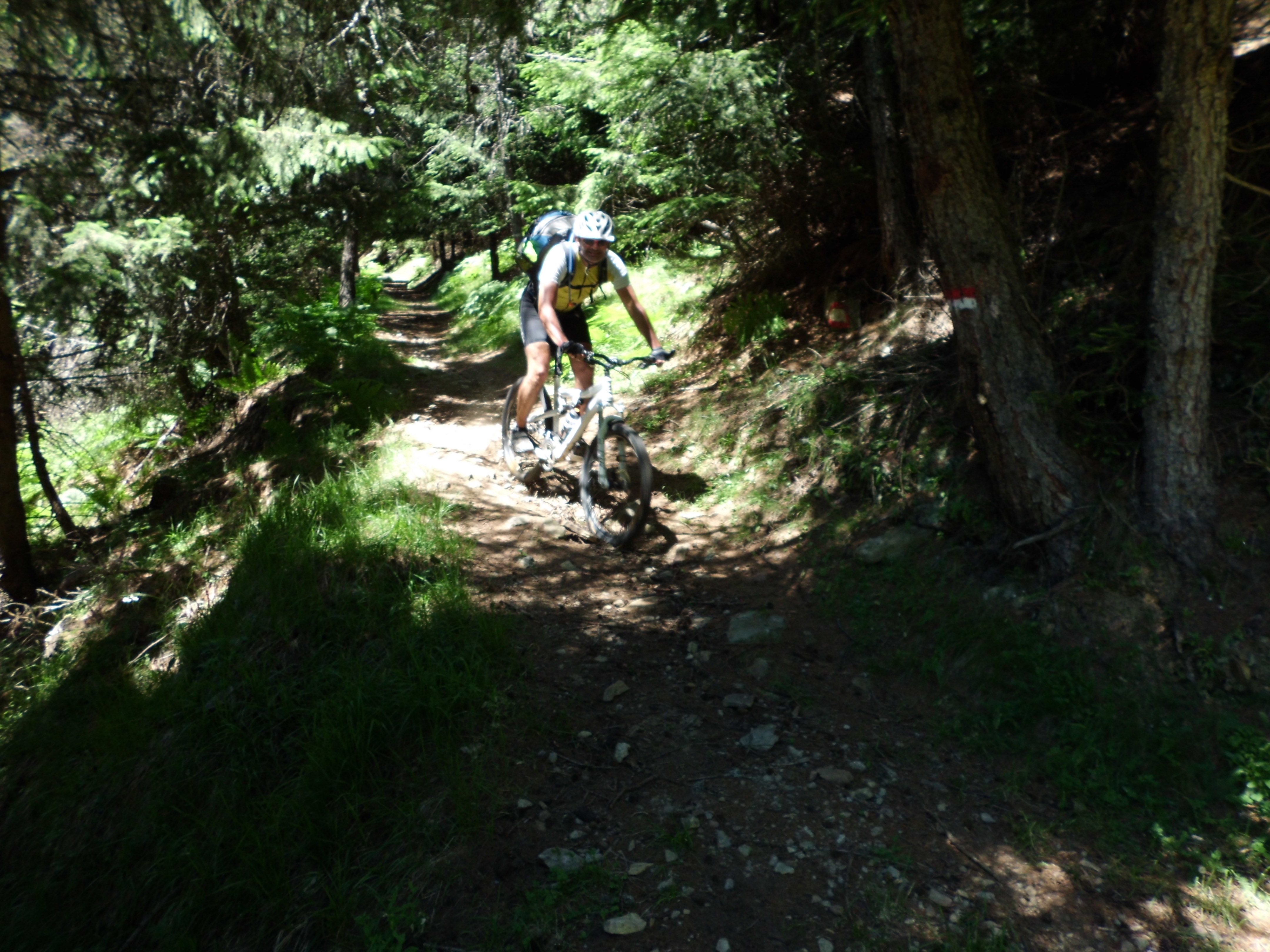 Transalp_20160719_009