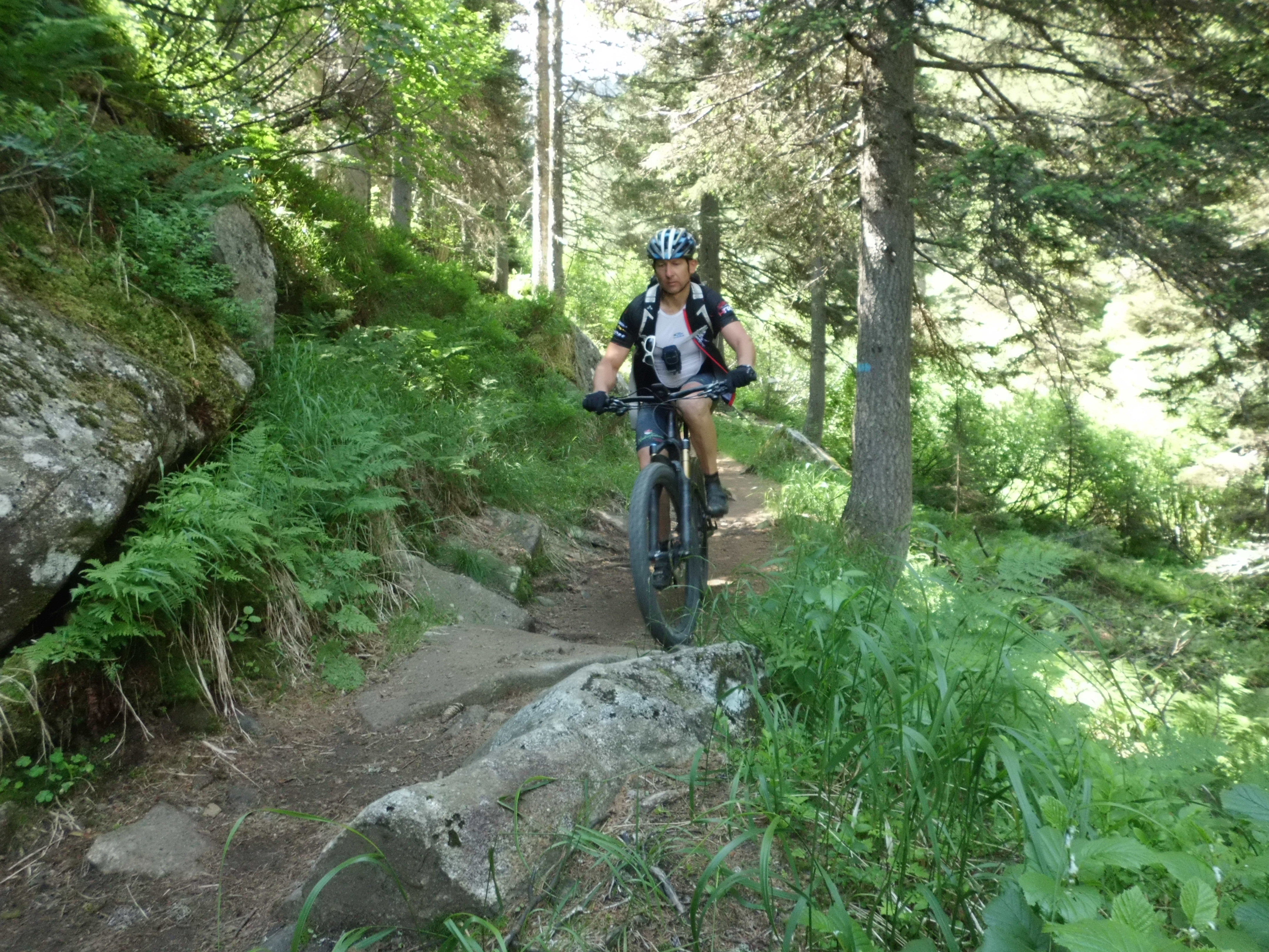 Transalp_20160720_001