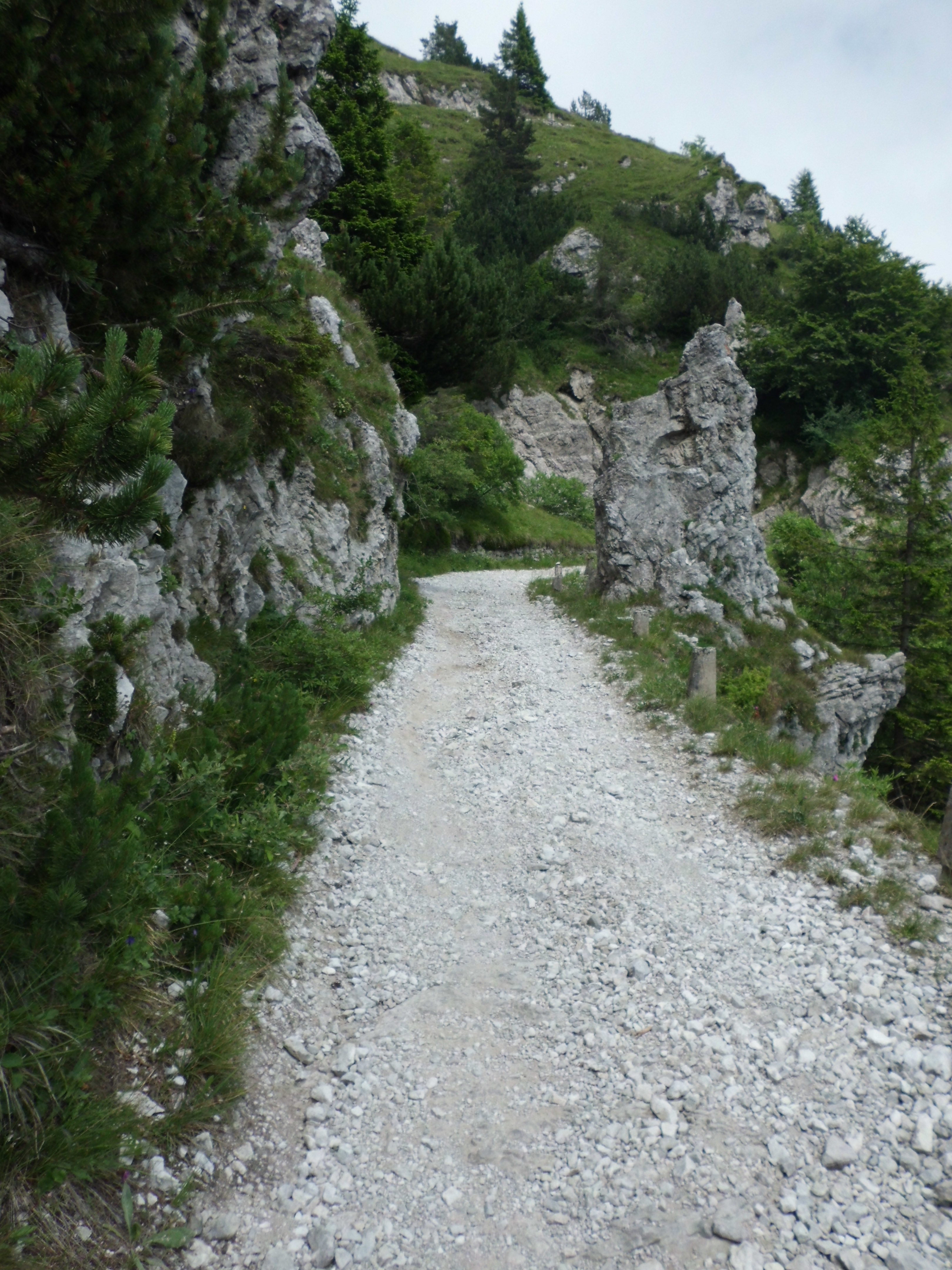 Transalp_20160721_011