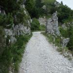 Transalp_20160721_011