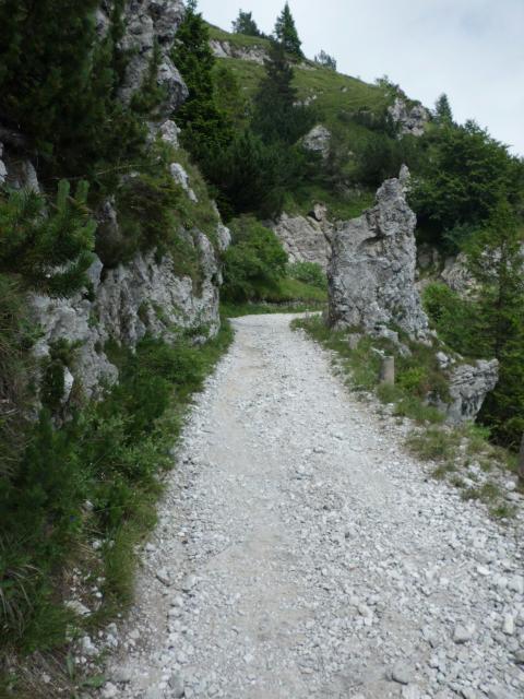 Transalp_20160721_011