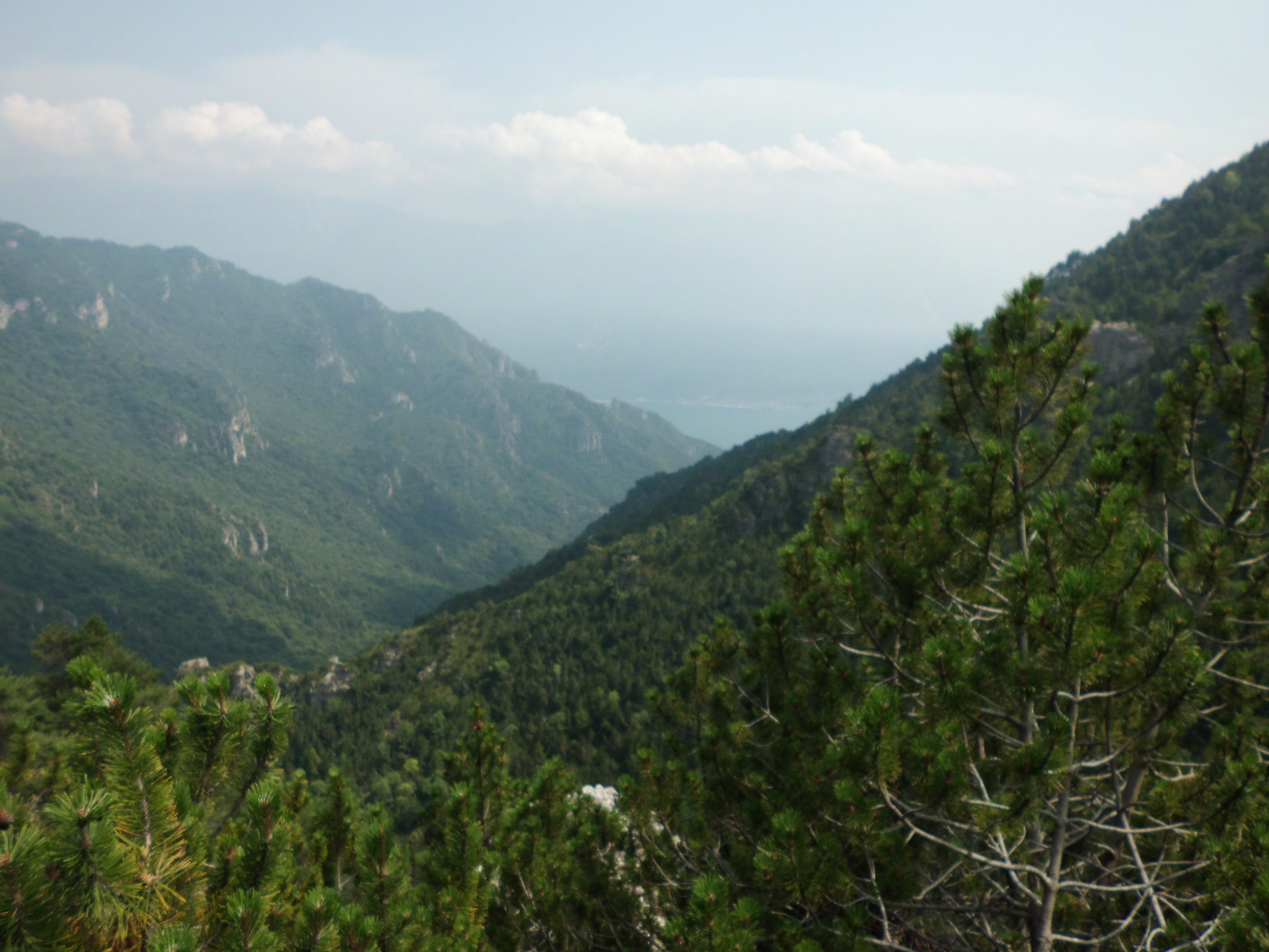 Transalp_20160721_014