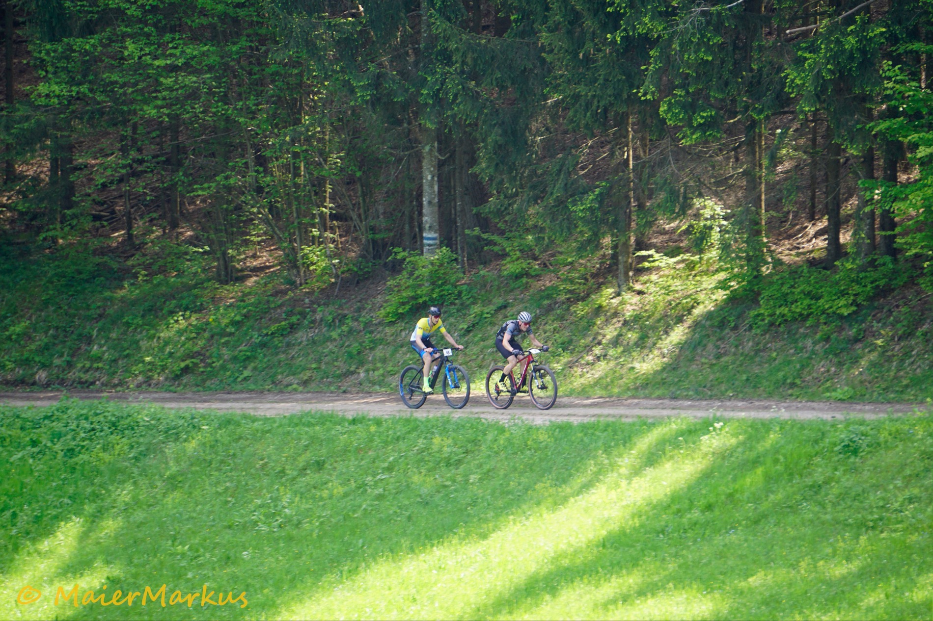 _DSC0800