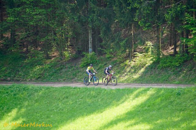 _DSC0800