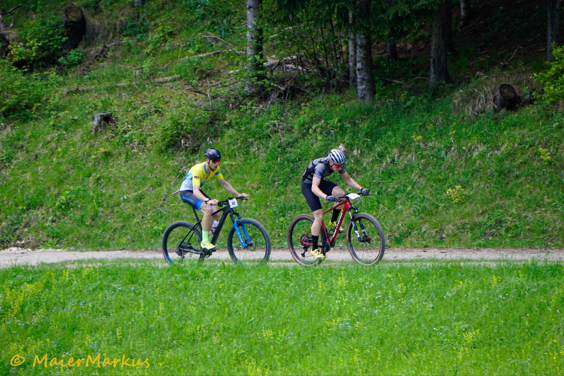 _DSC0803