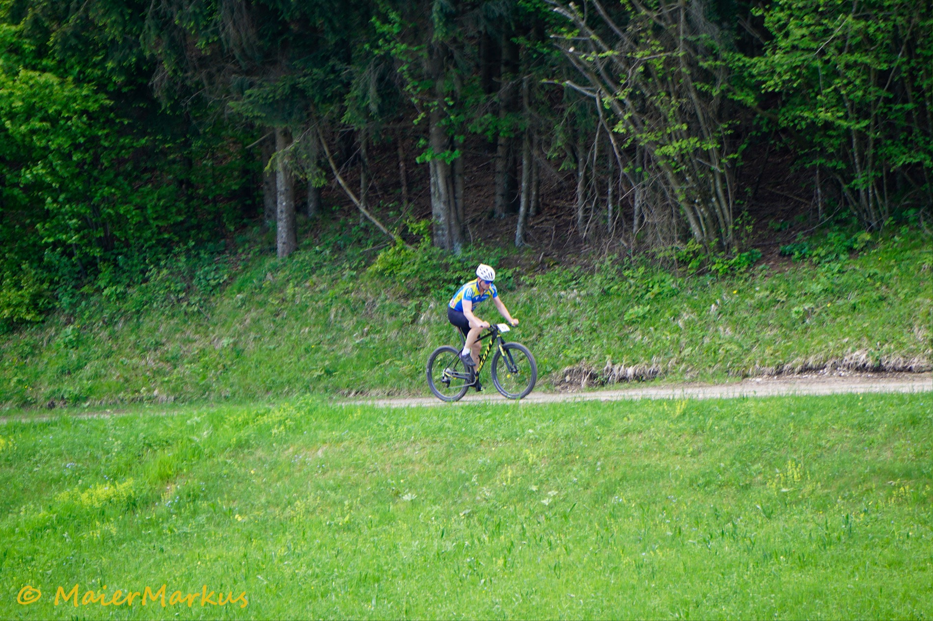 _DSC0811