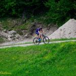 _DSC0825