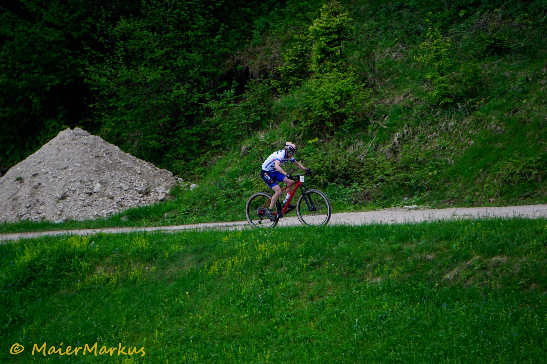 _DSC0841