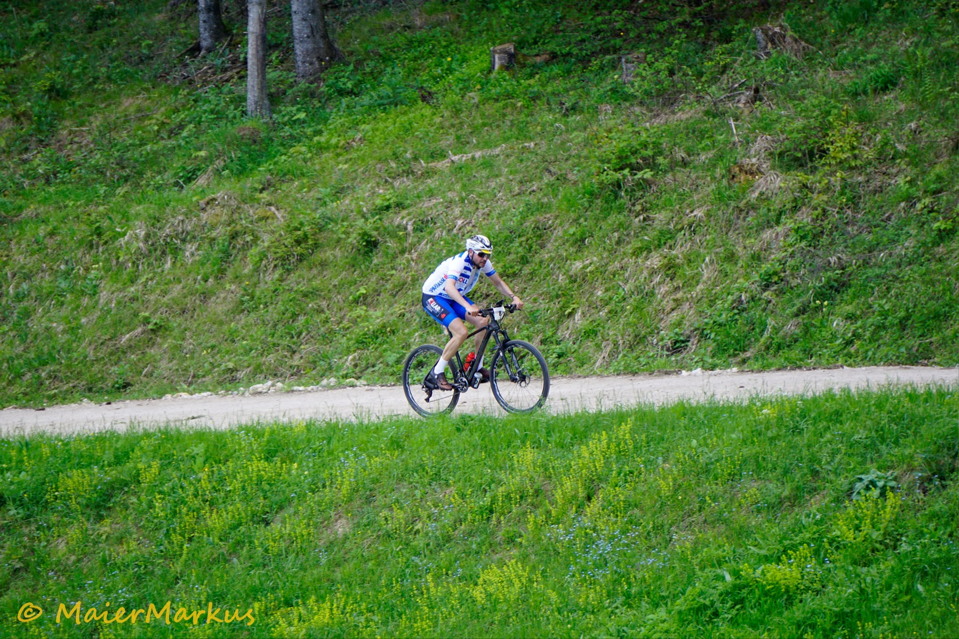 _DSC0853