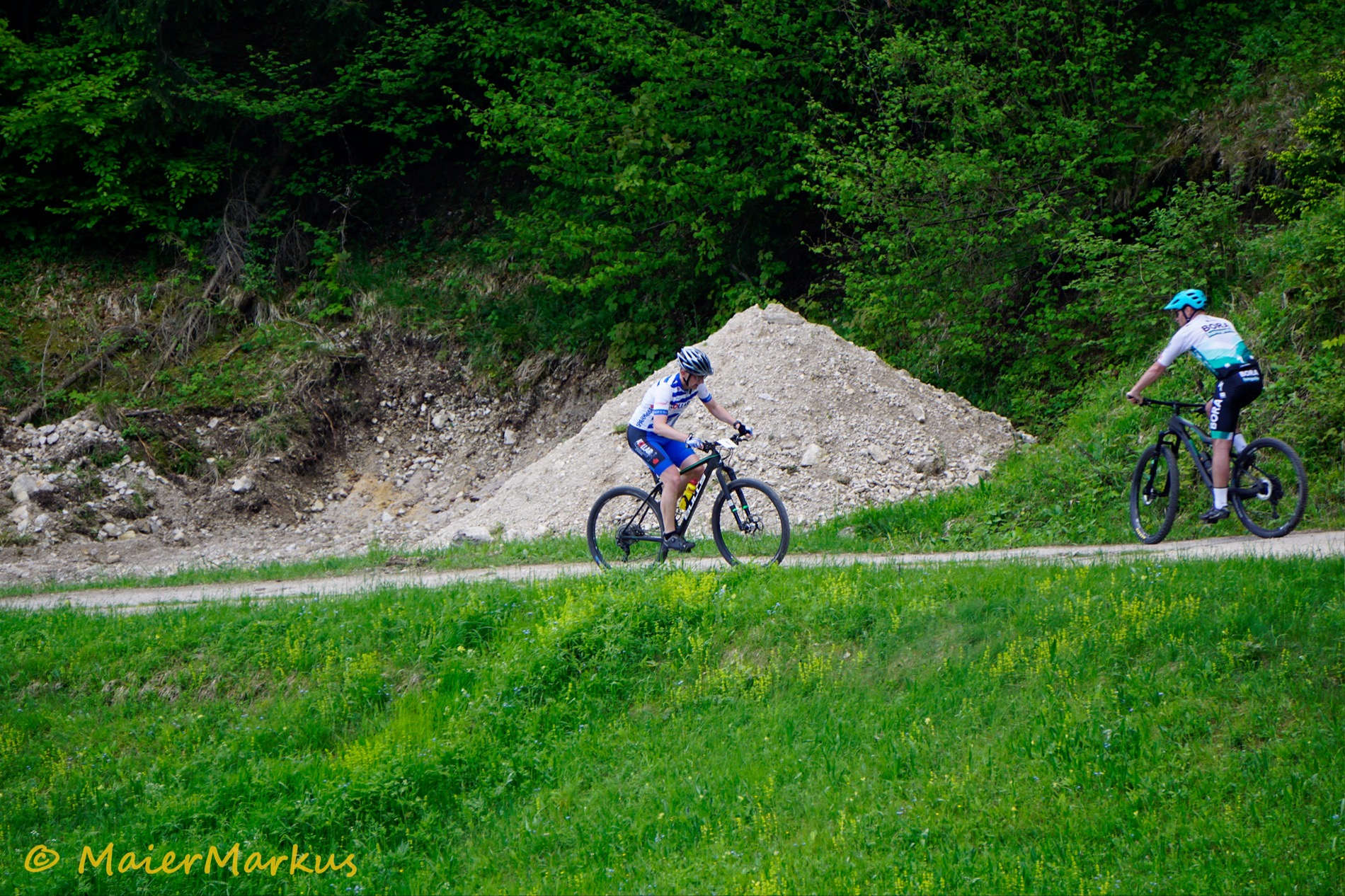 _DSC0868