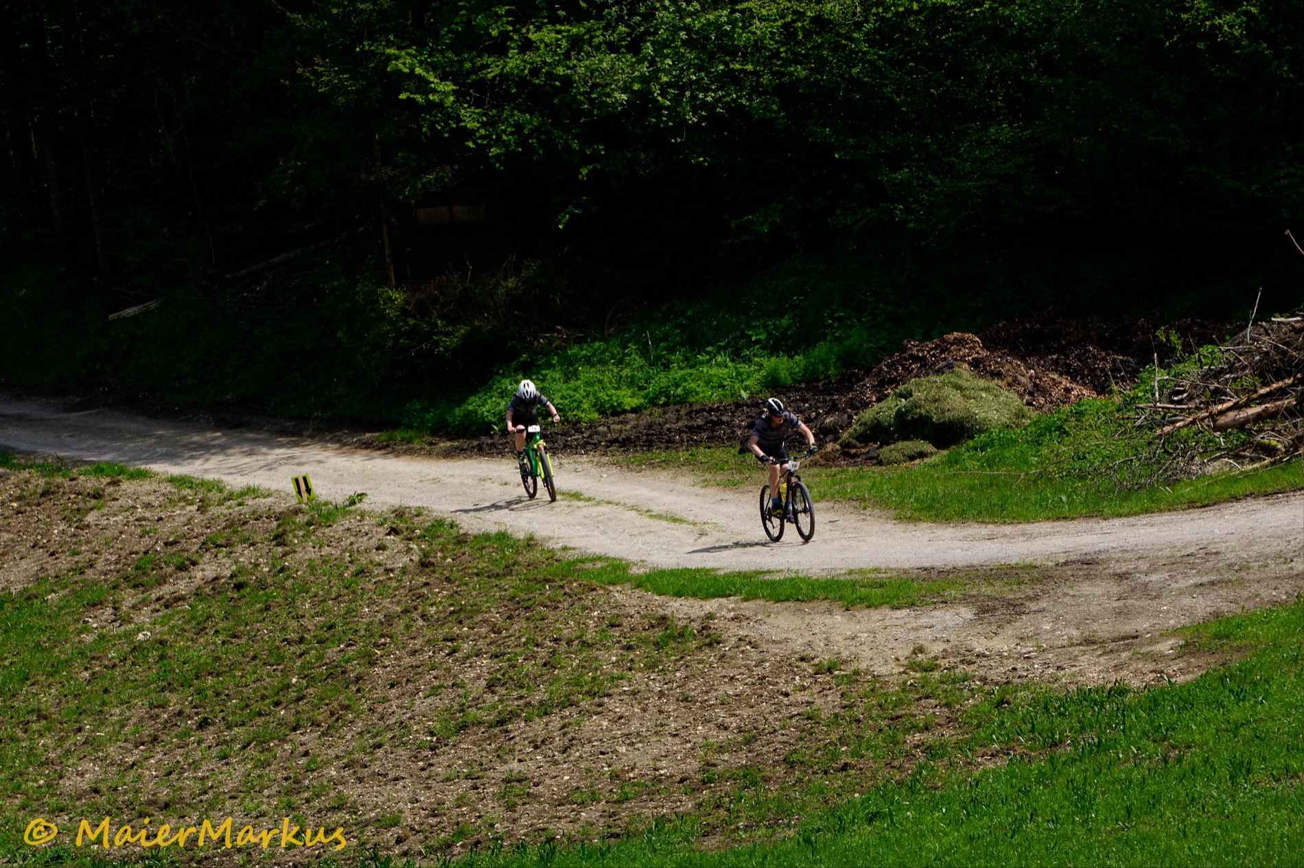 _DSC0901
