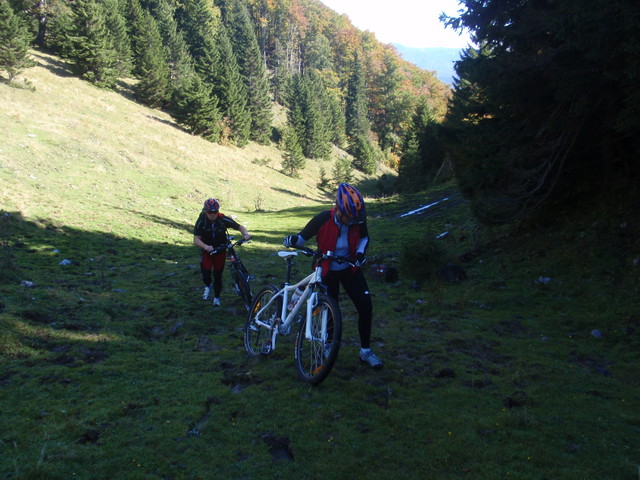 PA031767.jpg