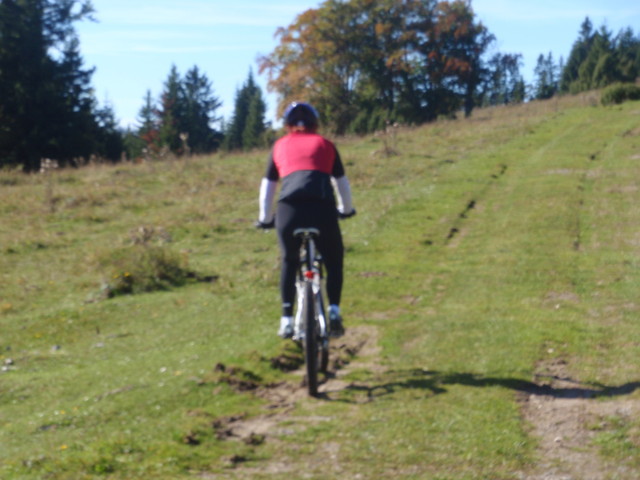 PA031764.jpg