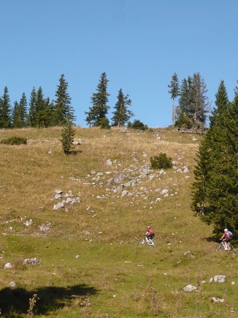 L1030195.jpg