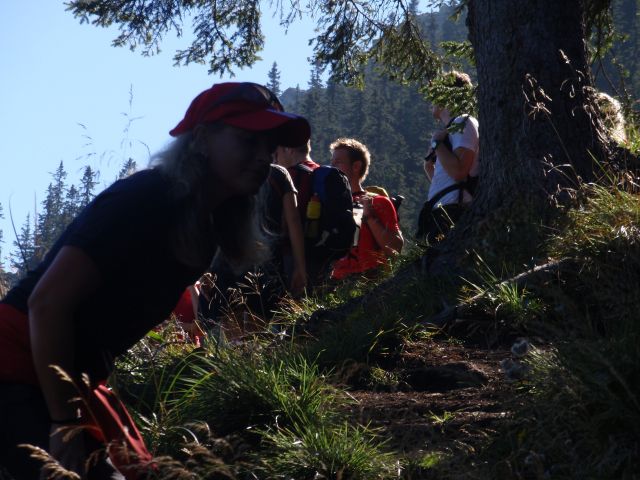 Zwischenstop im Waldanstieg von der Bärenlacke
