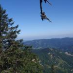 Zwischenstop im Waldanstieg von der Bärenlacke