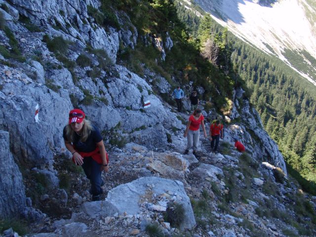 Rauer Kamm
Sonja, Martin, Hannes (Aldi), Dr. Z