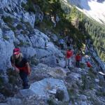 Rauer Kamm
Sonja, Martin, Hannes (Aldi), Dr. Z