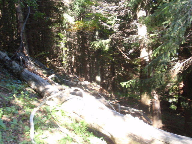 PA031770.jpg
