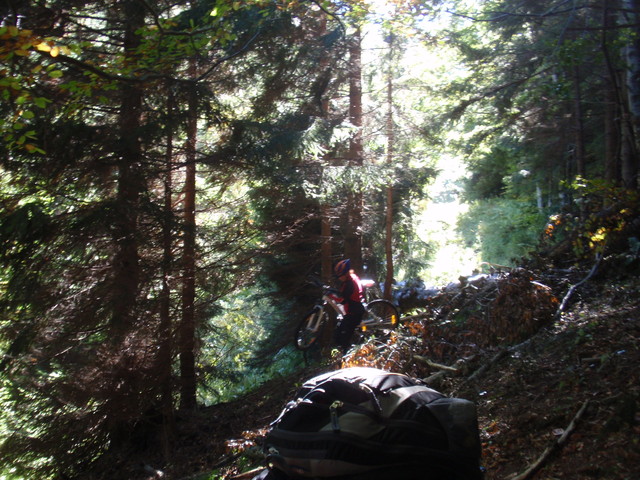 PA031772.jpg