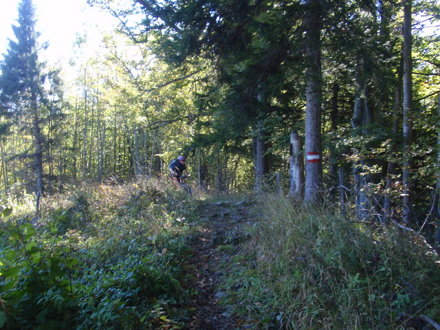 PA031774.jpg