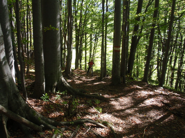 PA031775.jpg