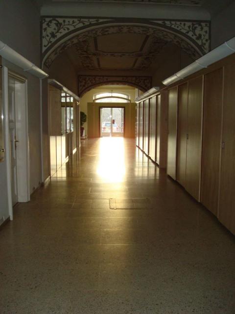 dsc02233.jpg