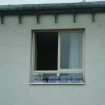 dsc02314.jpg