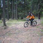 img_3771.jpg
