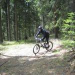 img_3776.jpg