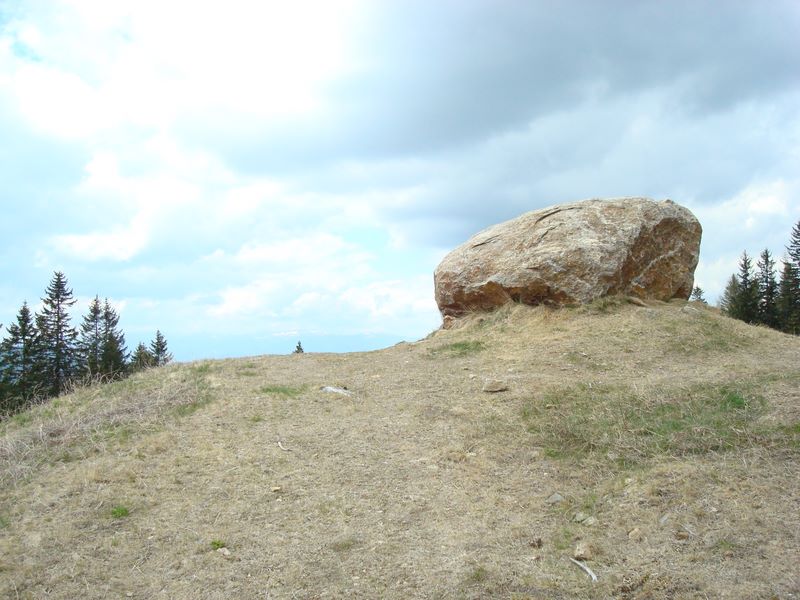 dsc03085.jpg