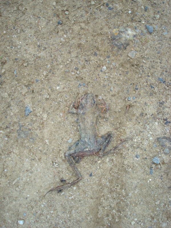 dsc03091.jpg