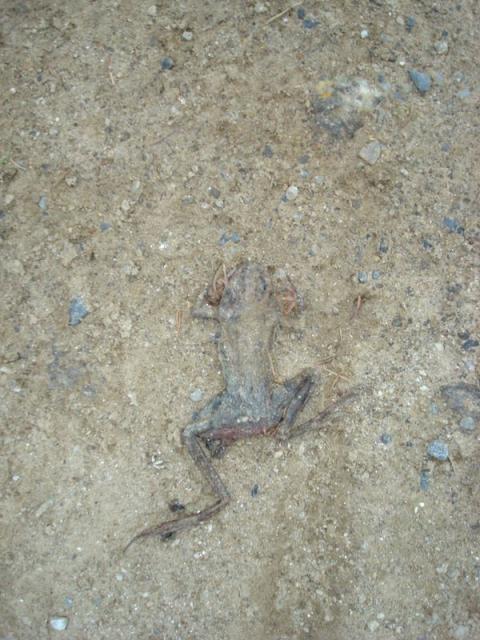 dsc03091.jpg