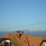 dsc03111.jpg