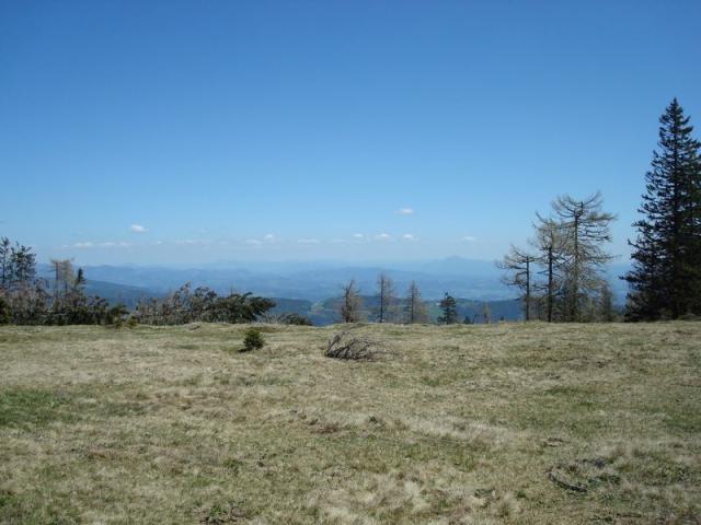 dsc03122.jpg