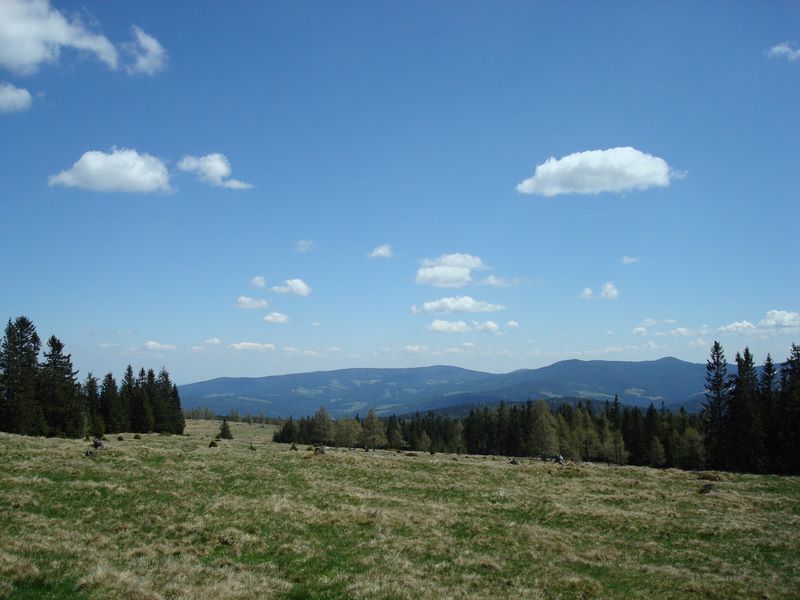 dsc03142.jpg