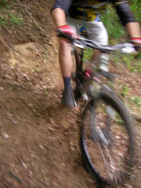 sany0104.jpg