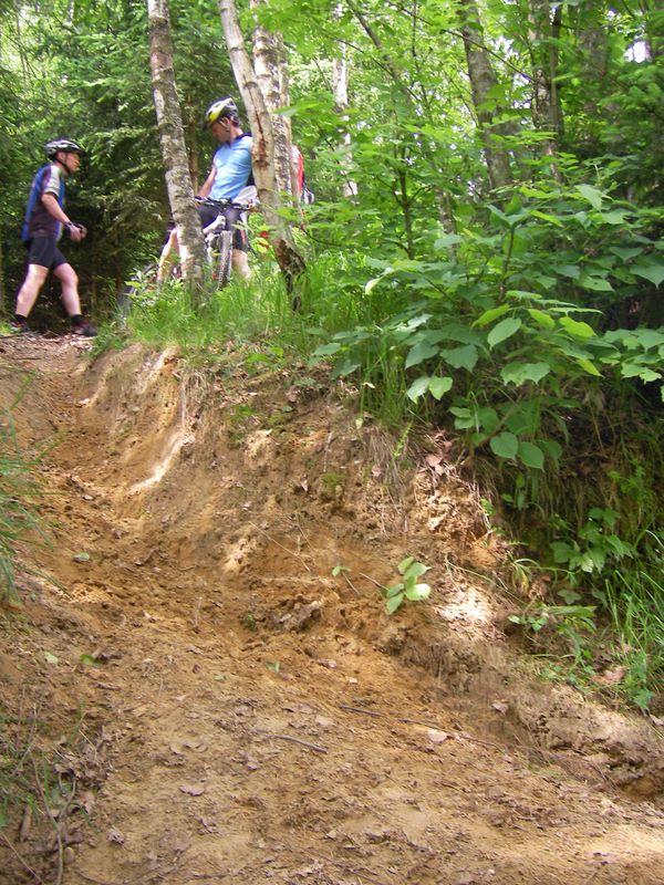 sany0113.jpg